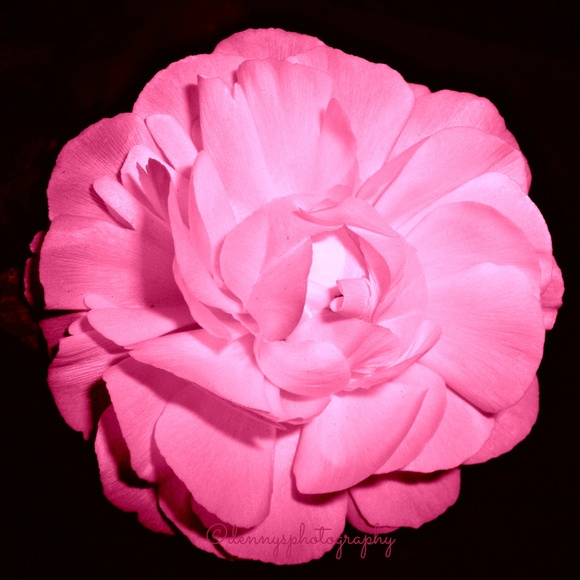 Meet your Posher, Susan - Picture 1 of 1